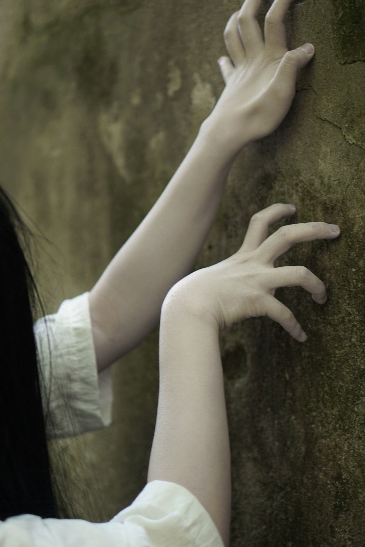 Hands against a tree