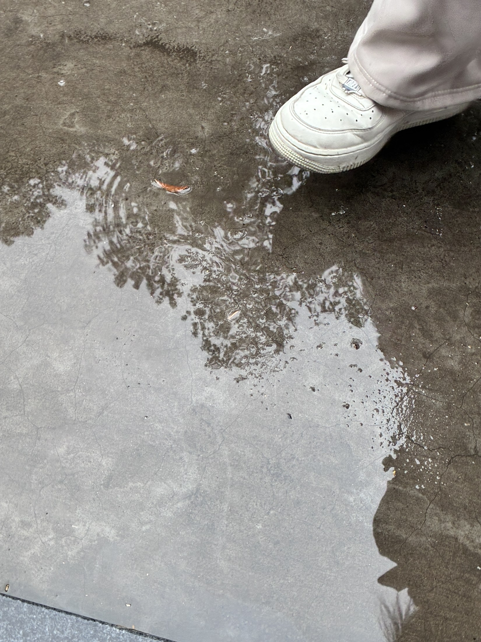 Reflection in a puddle